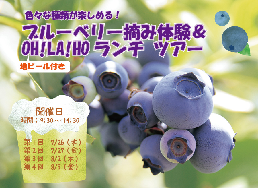 tour2018_blueberry