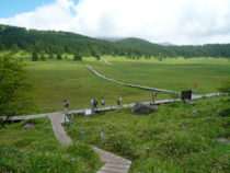 池の平湿原1