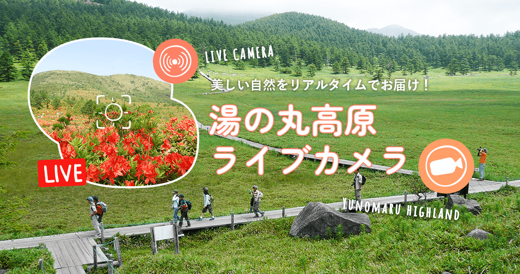湯の丸高原 ライブカメラ - 季節の移ろいをリアルタイムでお届け