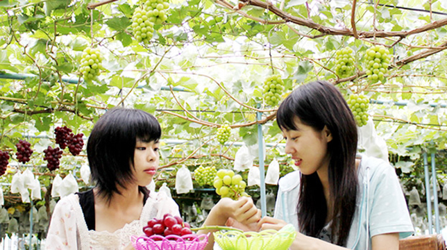 plum 院田唐音 花園羽香里【値下げ中〜】 plum 院田唐音 花園羽香里【値下げ中〜】