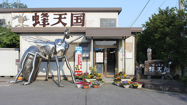 蜂天国 – 一般社団法人 信州とうみ観光協会