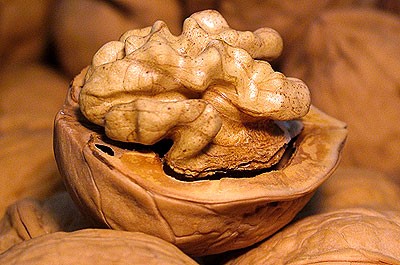 2019年度 東御市産くるみの販売が始まりました！ – 一般社団法人 信州