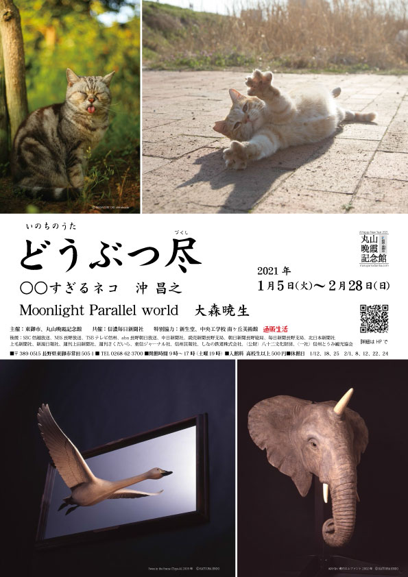 どうぶつ尽展チラシ最終